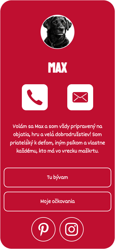 Šablóna Dynamic Duo pre tvorbu digitálneho profilou